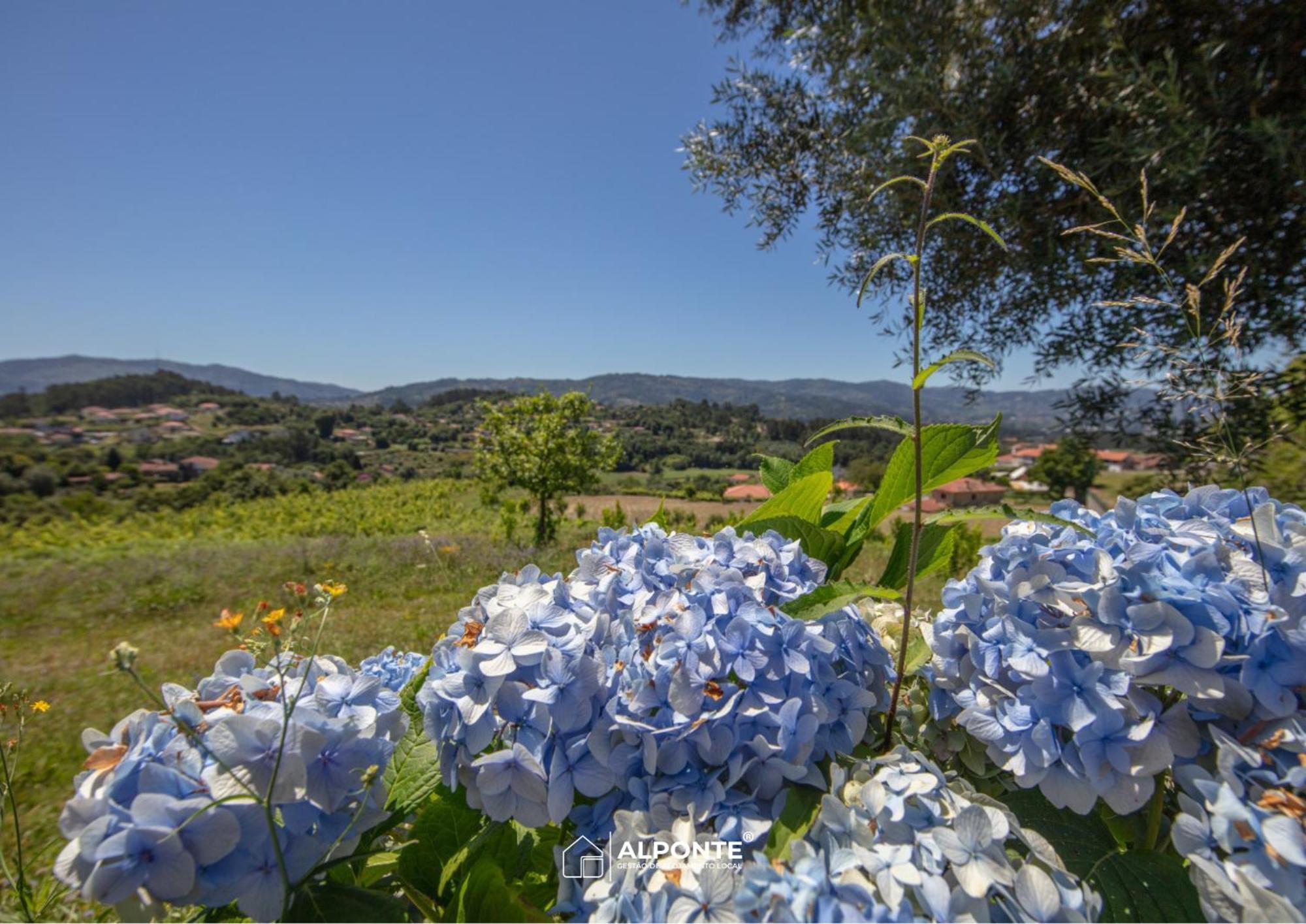 Quinta Da Costeira - Casa Azul Do Limoal By Alponte Villa อาร์กอสเดวัลเดเวซ ภายนอก รูปภาพ