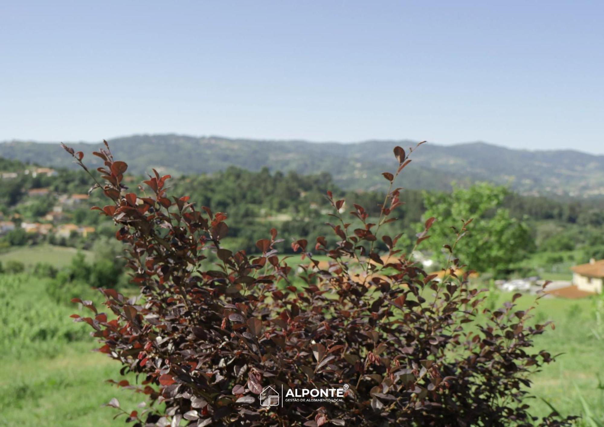 Quinta Da Costeira - Casa Azul Do Limoal By Alponte Villa อาร์กอสเดวัลเดเวซ ภายนอก รูปภาพ