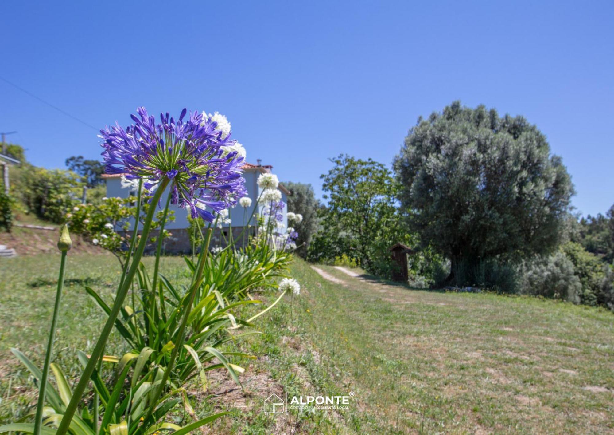 Quinta Da Costeira - Casa Azul Do Limoal By Alponte Villa อาร์กอสเดวัลเดเวซ ภายนอก รูปภาพ