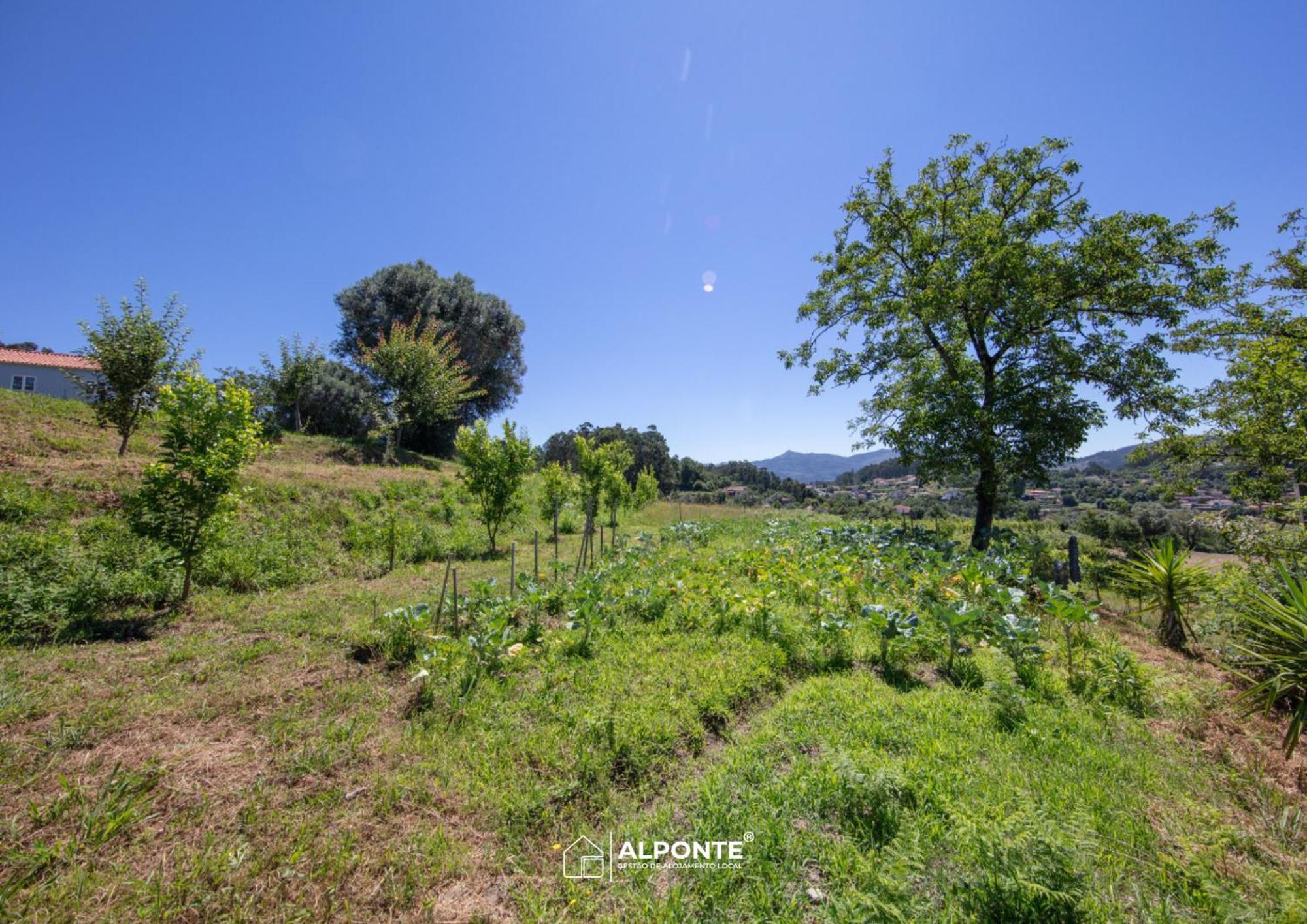 Quinta Da Costeira - Casa Azul Do Limoal By Alponte Villa อาร์กอสเดวัลเดเวซ ภายนอก รูปภาพ