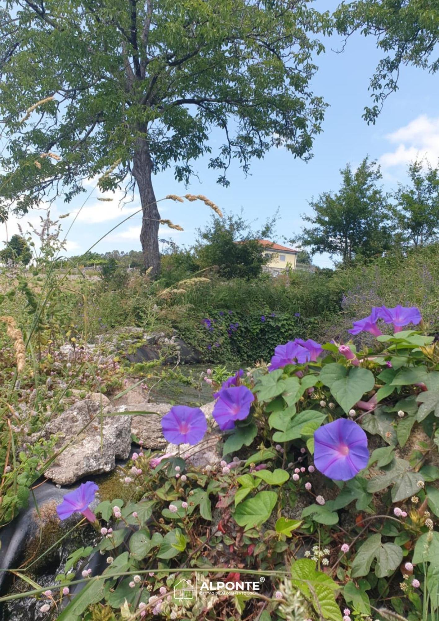 Quinta Da Costeira - Casa Azul Do Limoal By Alponte Villa อาร์กอสเดวัลเดเวซ ภายนอก รูปภาพ