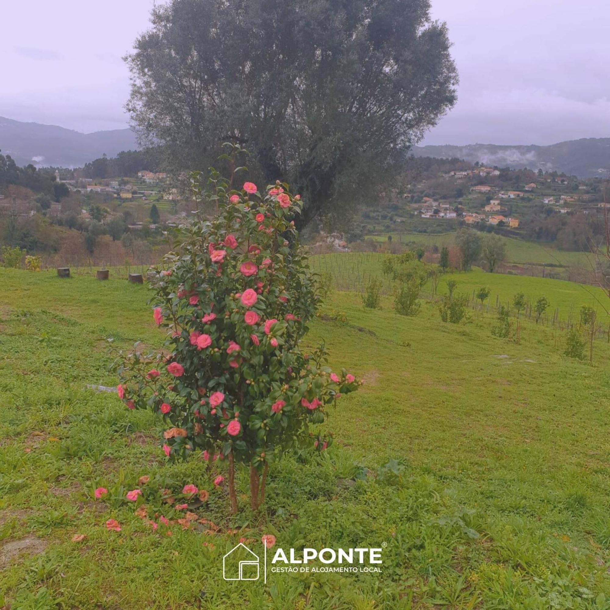 Quinta Da Costeira - Casa Azul Do Limoal By Alponte Villa อาร์กอสเดวัลเดเวซ ภายนอก รูปภาพ